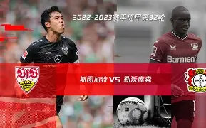 法甲倒计时；勒沃库森赛前状态回暖；细节引发关注；压力陡增；轮换策略成焦点的简单介绍